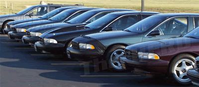 impalas.gif